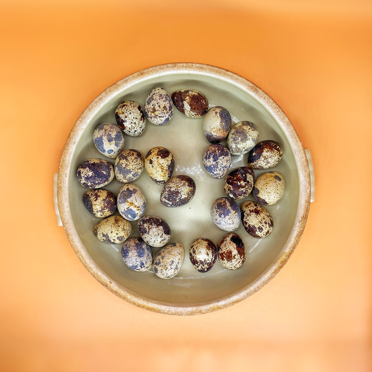 Quail Eggs Fresh from the Farm Lonestar Dog Treats