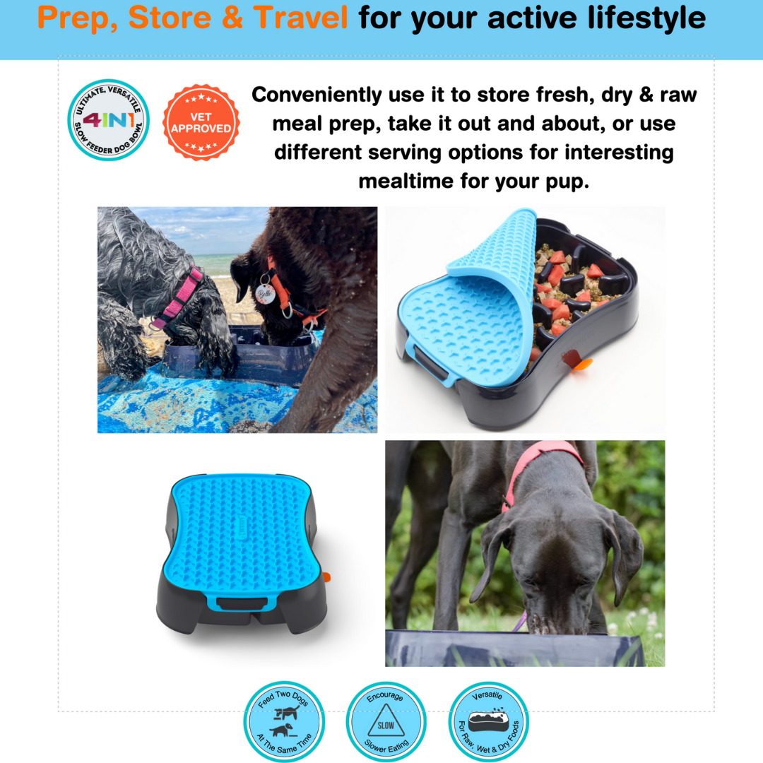 4-in-1 Slow Feeder Dog Bowl - Ultimate Versatile Enrichment Bowl