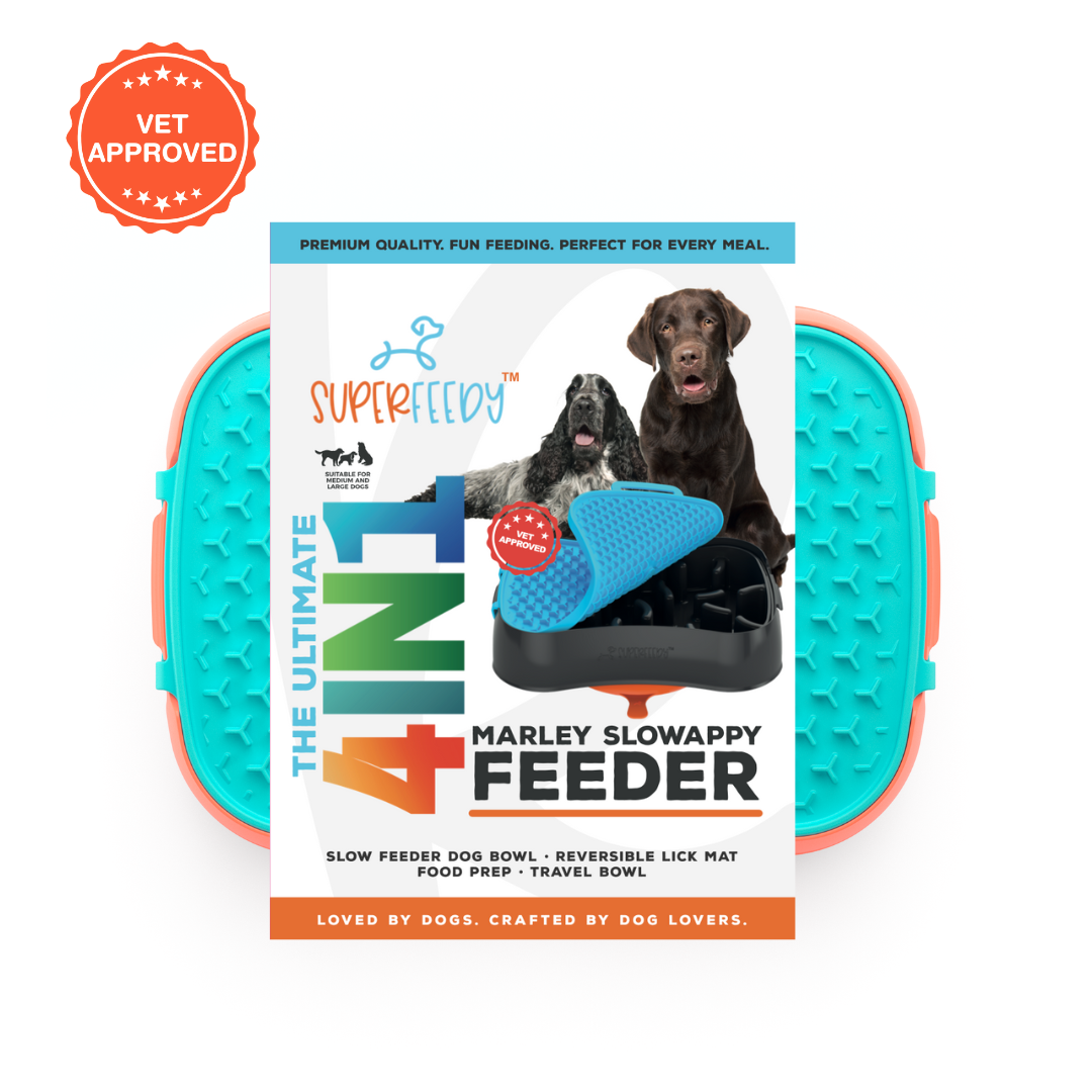 The Ultimate, Versatile 4in1 Slow Feeder Dog Bowl Lonestar Dog Treats