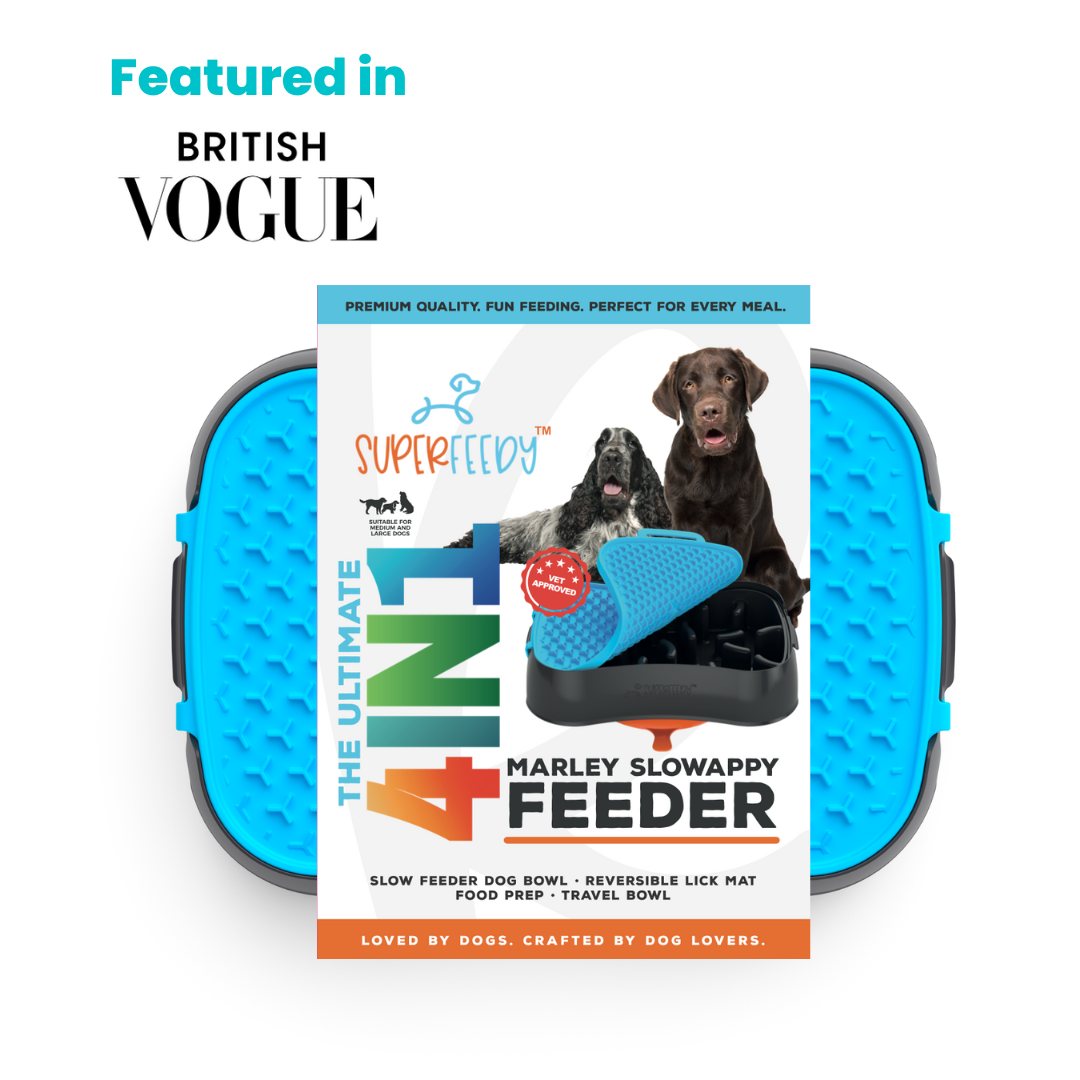 4-in-1 Slow Feeder Dog Bowl - Ultimate Versatile Enrichment Bowl